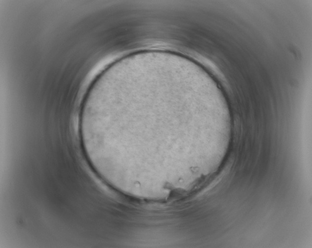 X0000113641424200910162027