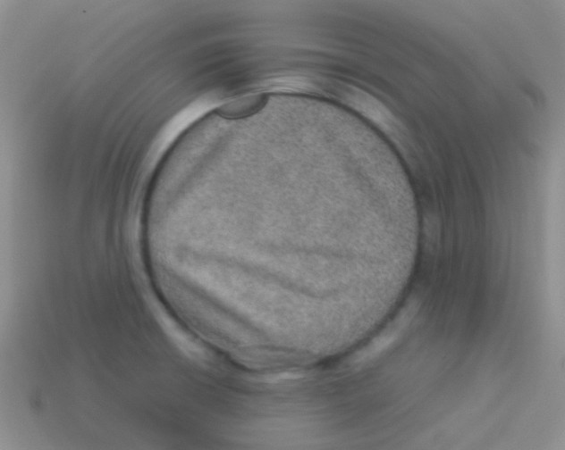 X0000113641426200910162027