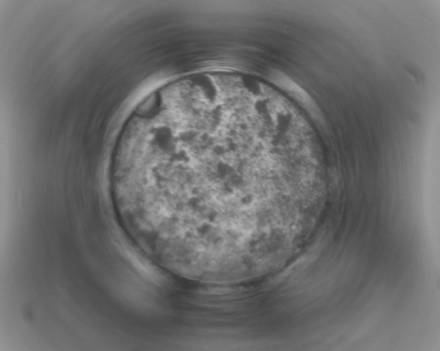 X0000113641427200910162027