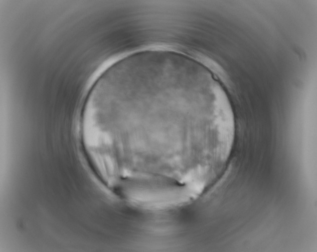 X0000113641428200910162027