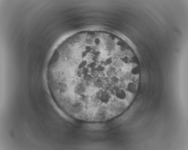 X0000113641429200910162027