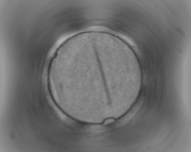 X0000113641430200910162028