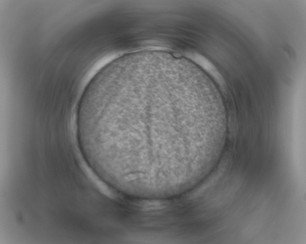 X0000113641431200910162028