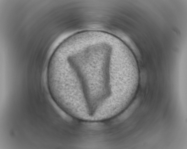 X0000113641432200910162028