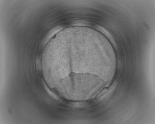 X0000113641433200910162028