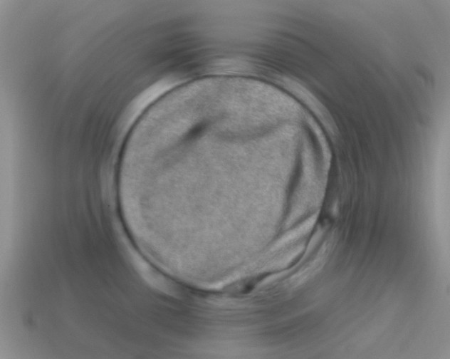 X0000113641434200910162028