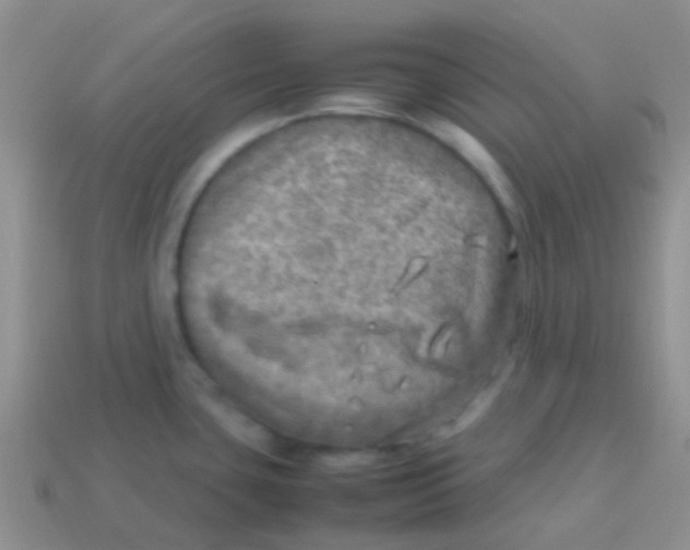 X0000113641435200910162028