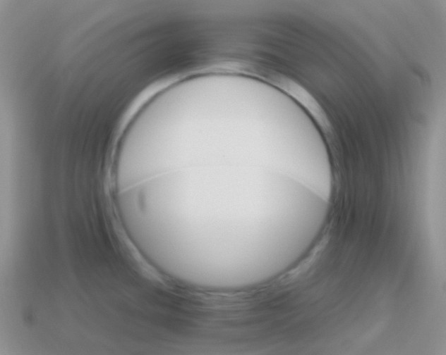 X0000113641436200910162028