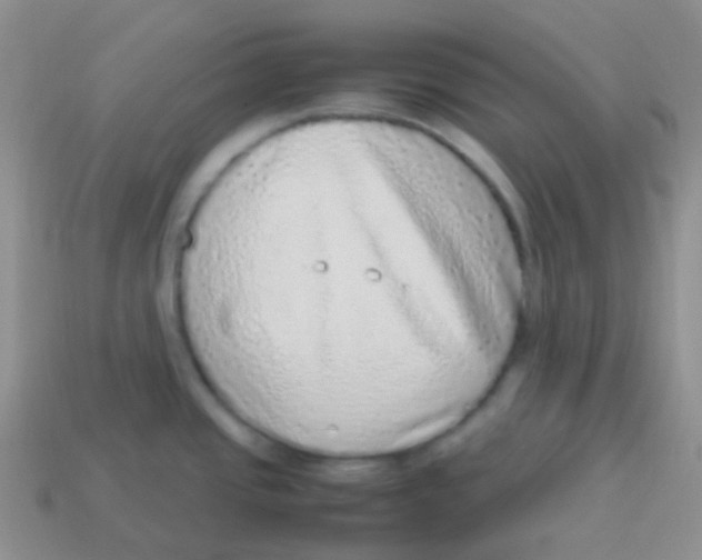 X0000113641437200910162028