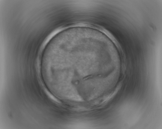 X0000113641438200910162028