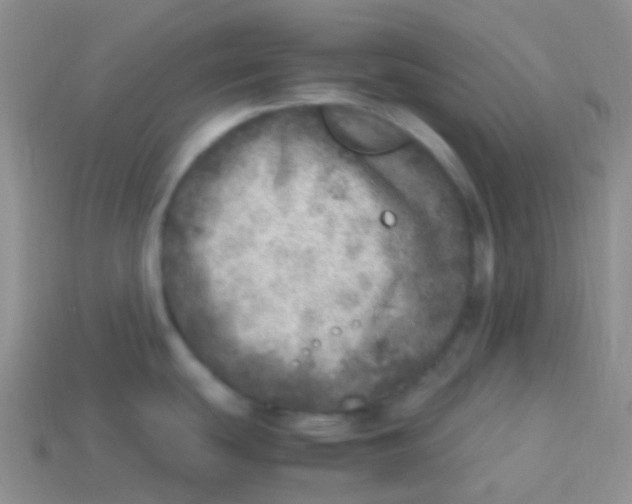 X0000113641439200910162028