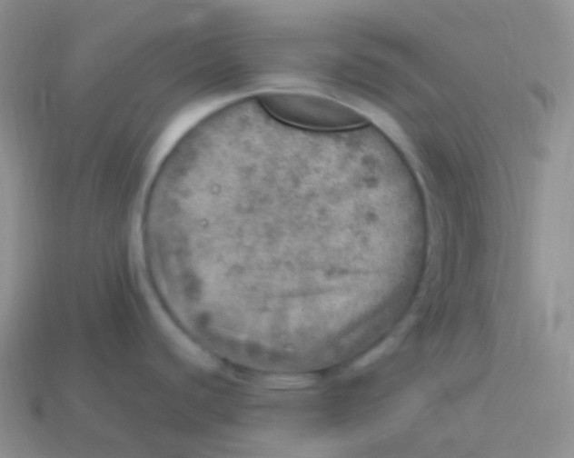 X0000113641440200910162028