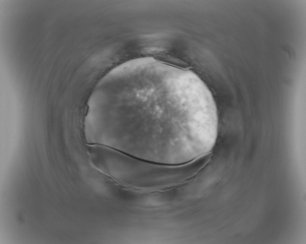 X0000113641441200910162027