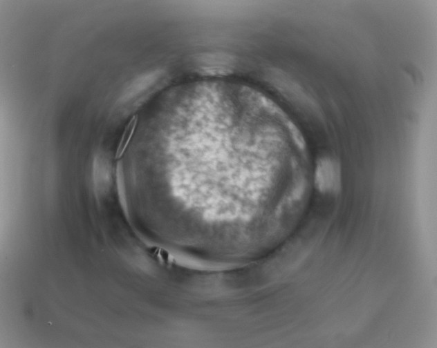 X0000113641444200910162027