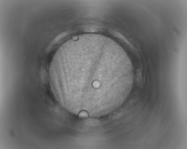 X0000113641446200910162027