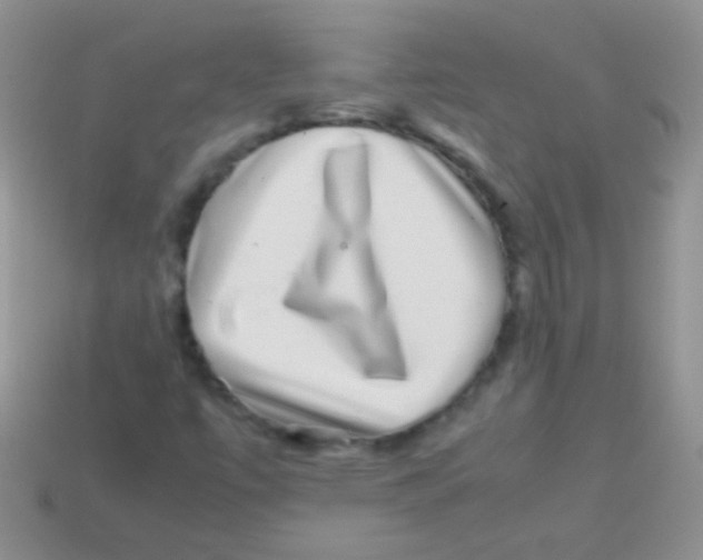 X0000113641447200910162027