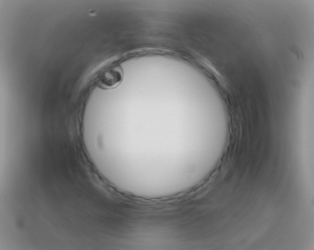 X0000113641448200910162027