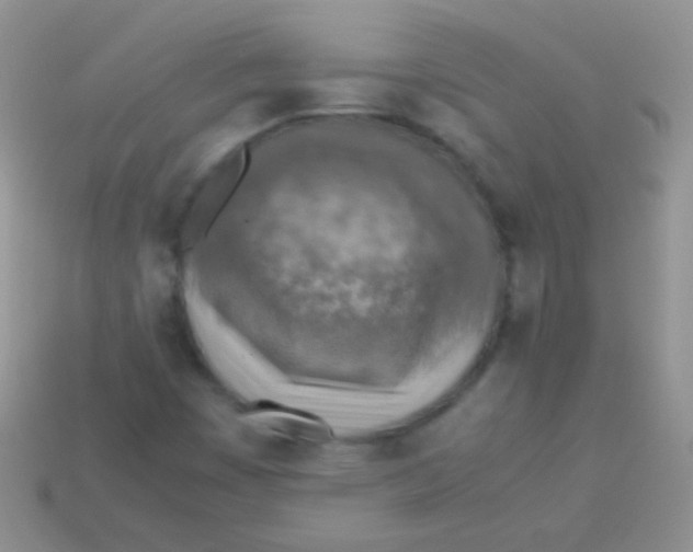 X0000113641449200910162027