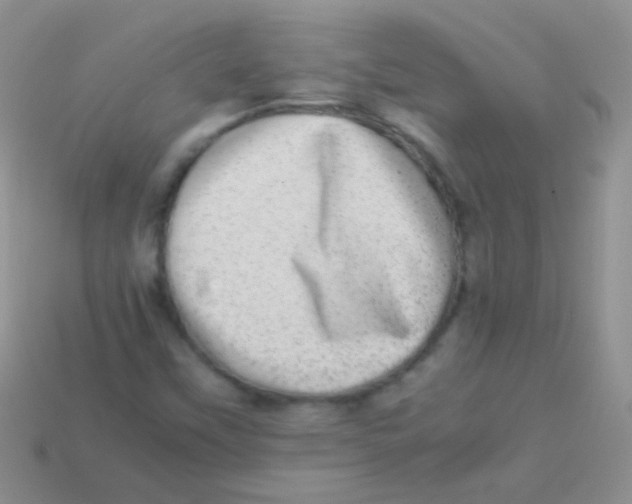 X0000113641451200910162027