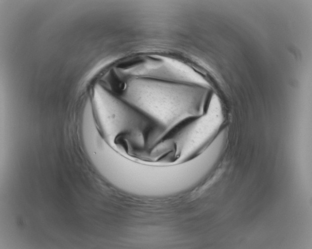 X0000113641453200910162027