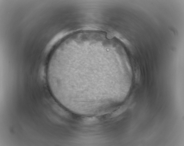 X0000113641454200910162027