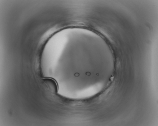 X0000113641455200910162027