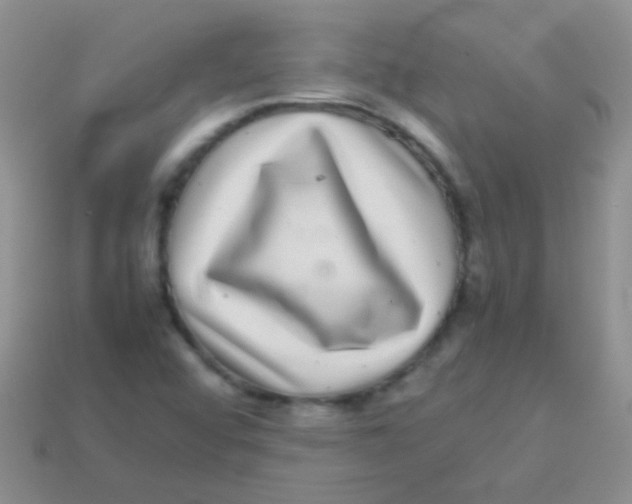 X0000113641456200910162027