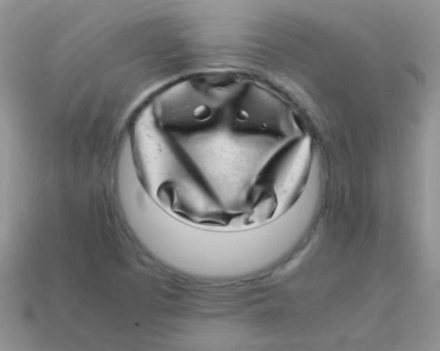 X0000113641457200910162027