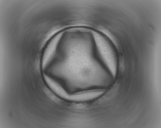 X0000113641460200910162027