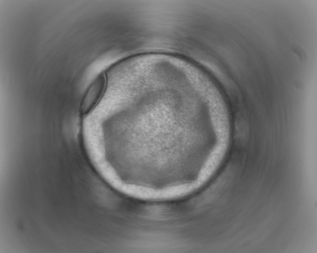 X0000113641461200910162027