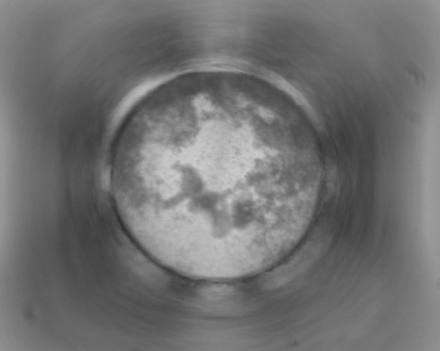 X0000113641462200910162027