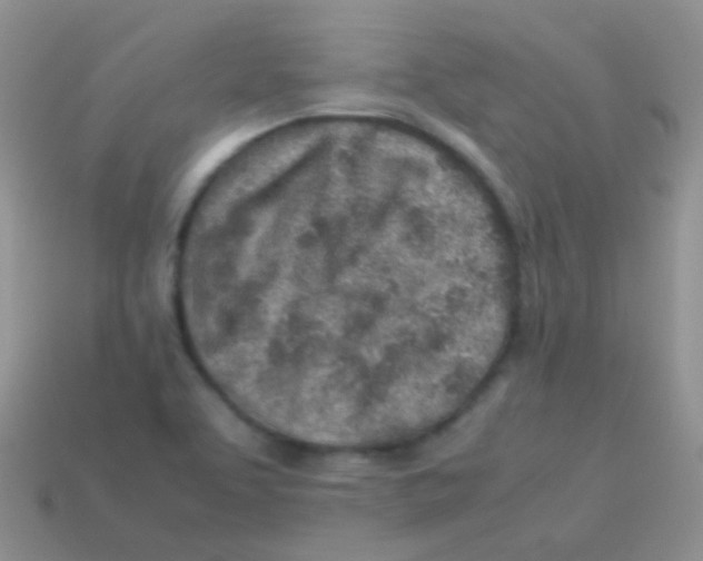 X0000113641463200910162027