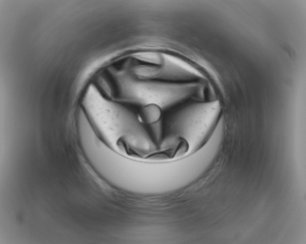 X0000113641464200910162027