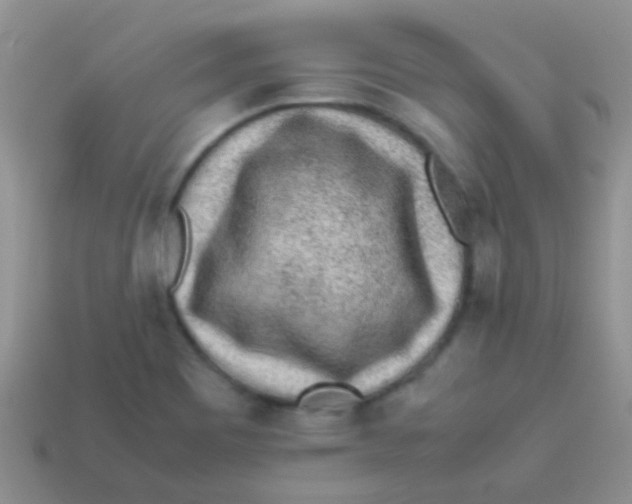 X0000113641465200910162027