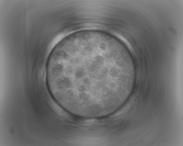 X0000113641467200910162027