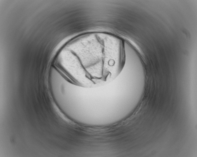 X0000113641468200910162027