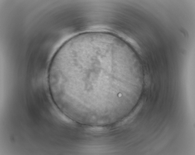 X0000113641470200910162027