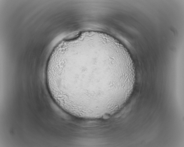 X0000113641471200910162027