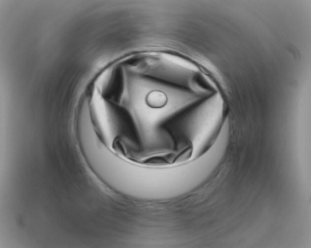 X0000113641472200910162027