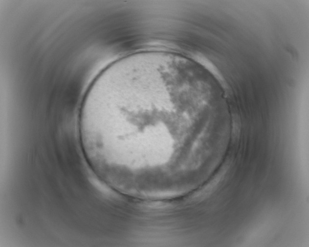 X0000113641474200910162027