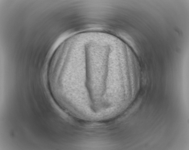 X0000113641475200910162027