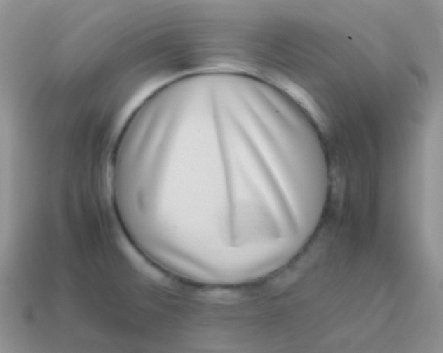 X0000113641476200910162027