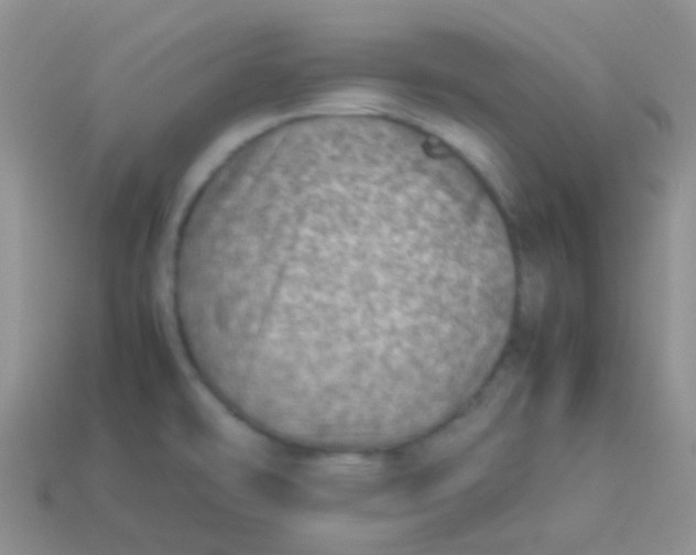 X0000113641478200910162027