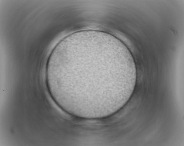 X0000113641479200910162027