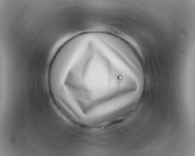 X0000113641480200910162026