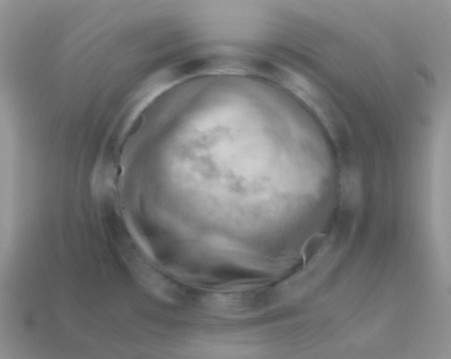 X0000113641481200910162026