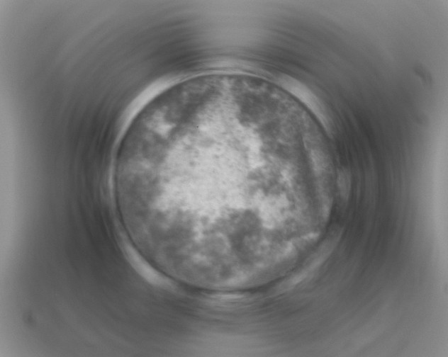 X0000113641482200910162026