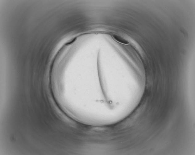 X0000113641483200910162026