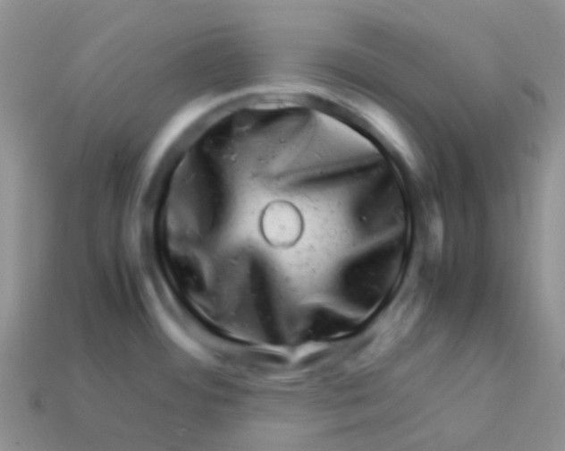 X0000113641484200910162026