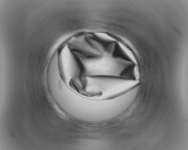 X0000113641485200910162026